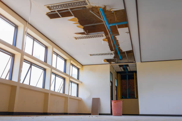 Best Mold removal after water damage  in Sa De Oro Mount Helix, CA