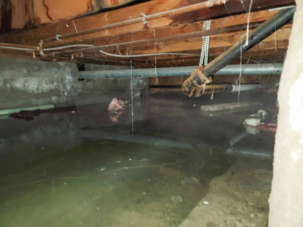Best Residential water damage restoration  in Sa De Oro Mount Helix, CA