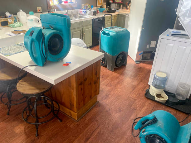 Best Water damage contractors near me  in Sa De Oro Mount Helix, CA