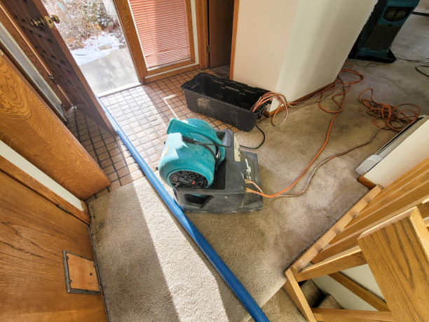 Best Emergency water damage restoration  in Sa De Oro Mount Helix, CA