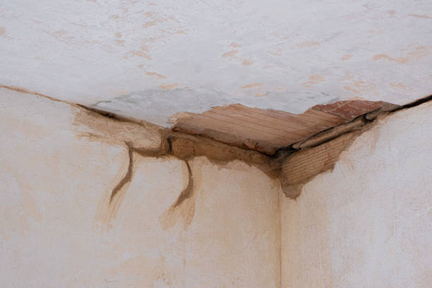 Best Flood damage cleanup  in Sa De Oro Mount Helix, CA