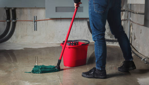 Best Carpet water damage restoration  in Sa De Oro Mount Helix, CA