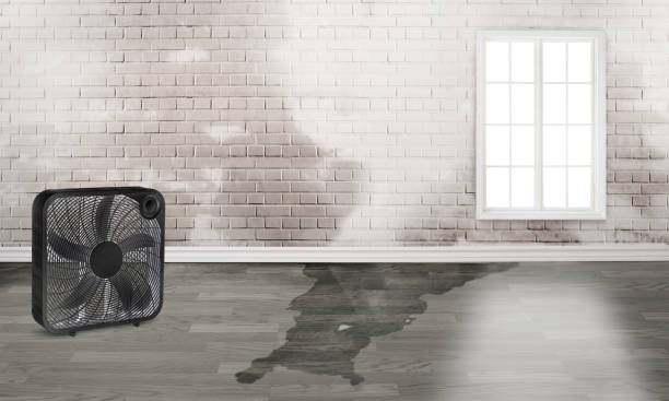 Water damage restoration insurance claims in Casa De Oro Mount Helix, CA