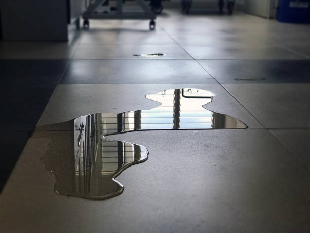 Professional Water damage restoration in Casa De Oro Mount Helix, CA