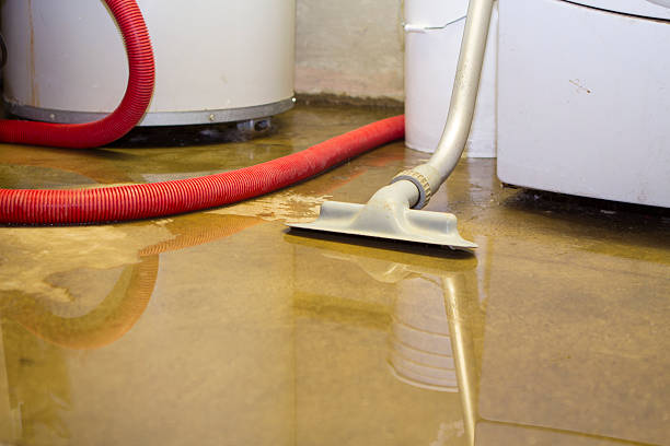 Best Flooded house restoration  in Sa De Oro Mount Helix, CA