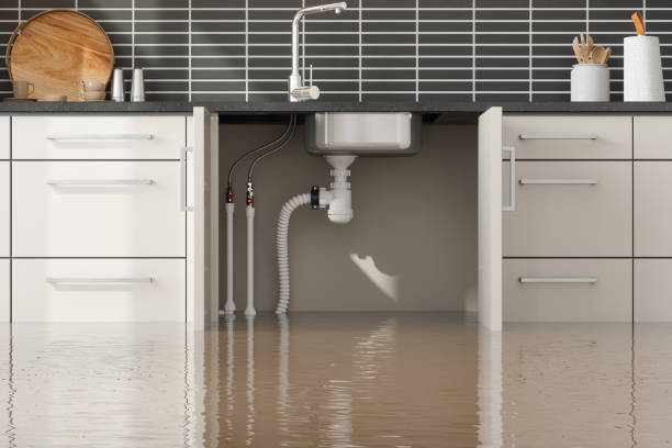 Best 24-hour water damage restoration  in Sa De Oro Mount Helix, CA